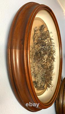 MUSEUM QUALITY VICTORIAN HAIR TREE LIFE WREATH MOURNING OVAL 1800s CIVIL WAR